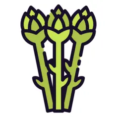 Asparagus