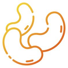 豆子