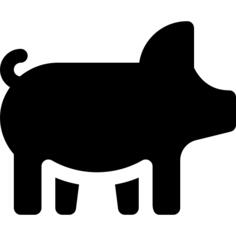猪