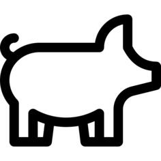 猪