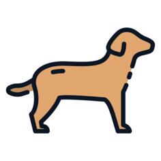 Canine