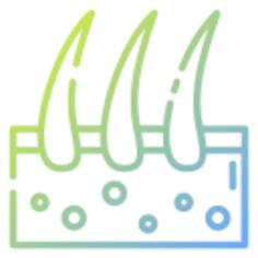 Dermathology