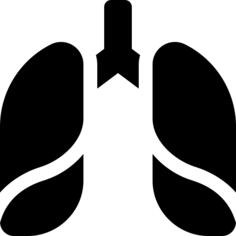 Lungs