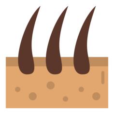 Dermathology
