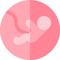 孕