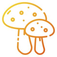 蘑菇