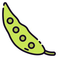 豌豆