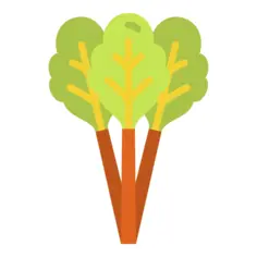 Rhubarb