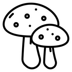 蘑菇