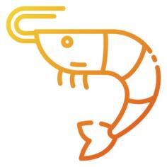 Shrimp