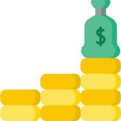 Income
