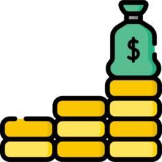Income