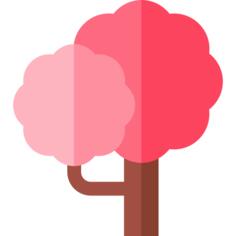 杏仁树