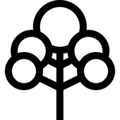 樱