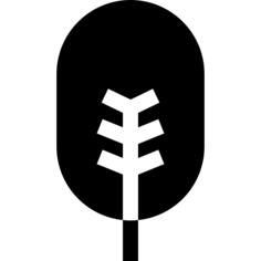 白杨