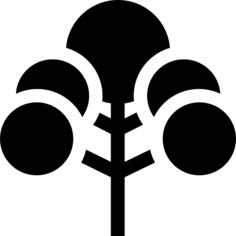 樱