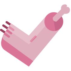 Foot