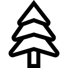 Larch