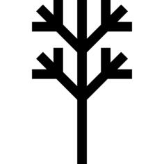 Tree branch