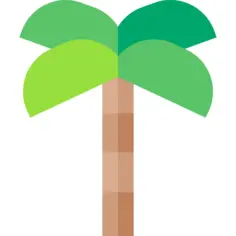 Palm tree