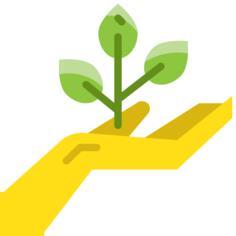 保存植物