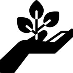 保存植物