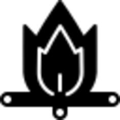 Campfire
