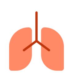 Lung