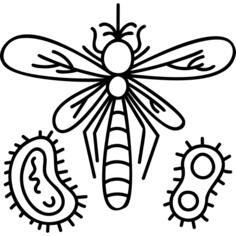 Mosquito