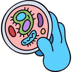 Bacteria