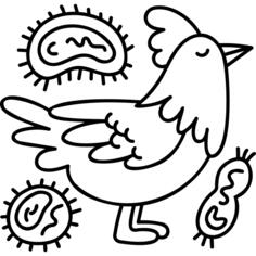 鸡