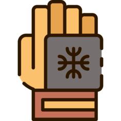Glove