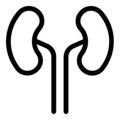 Kidneys