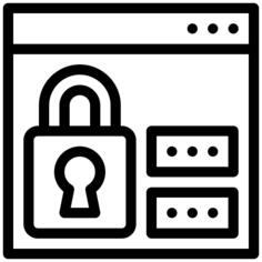 Web security