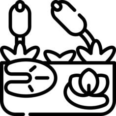 沼泽