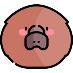 鸭嘴兽