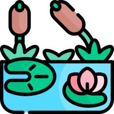 沼泽