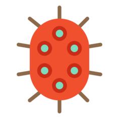 Bacteria