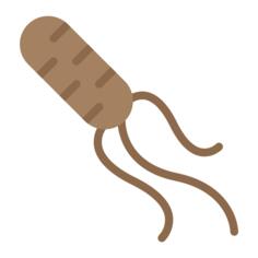 微生物