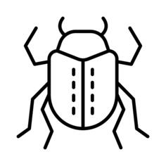 Beetle