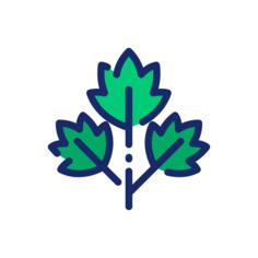 香菜