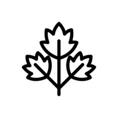 香菜