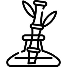 Bamboo