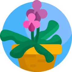 厂