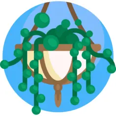 厂
