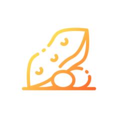 坚果