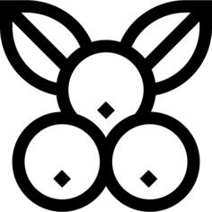 蓝莓