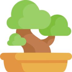 Bonsai