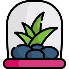 Terrarium