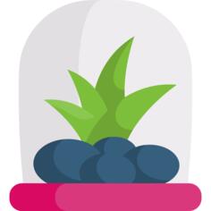 Terrarium